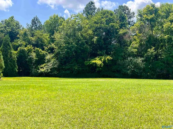 LOT 17 Park Cir, Gurley, AL 35748