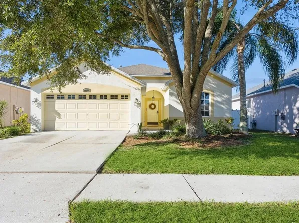 18208 Hollyhills Way, Tampa, FL 33647
