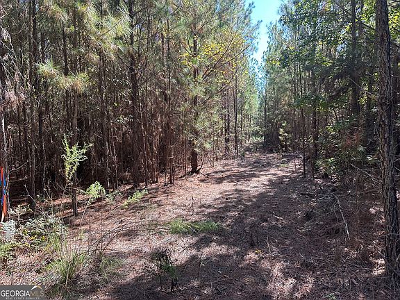 2nd image of 1001 Millen Hiltonia Rd