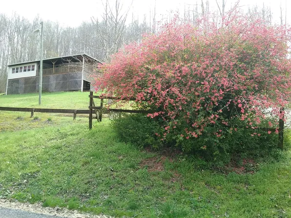 15180 Fall Hill Rd, Abingdon, VA 24210