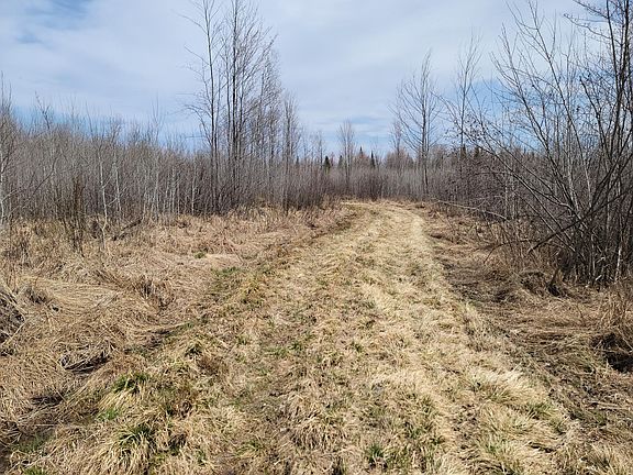 2nd image of Elderwood Rd #80ACRES