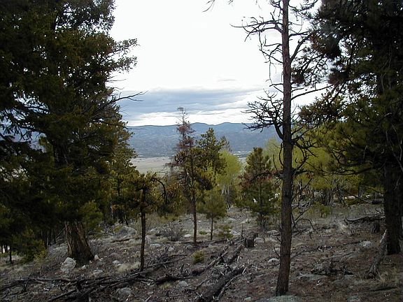 5th image of 30114 Eagles Ridge