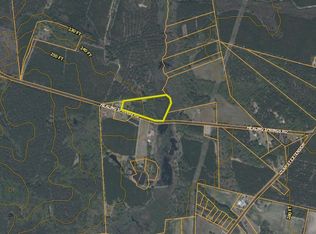 Healing Springs Rd LOT WP001, Blackville, SC 29817