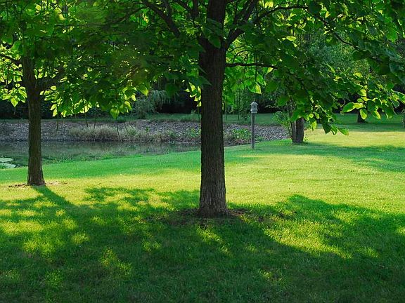 grassy area