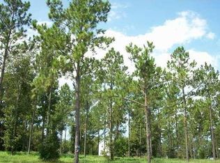 35920 Ramsey Ridge Dr #20, Dade City, FL 33523