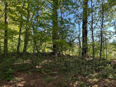 153 Brentwood Road, Exeter, NH, 03833