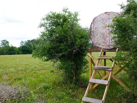 Horse property for sale in Florda