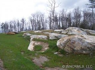 LOT 2A Stones Lake Rd, Cedar Mountain, NC 28718