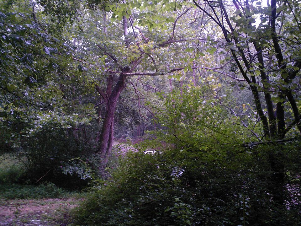 1st image of 624 Goodfield Creek Rd