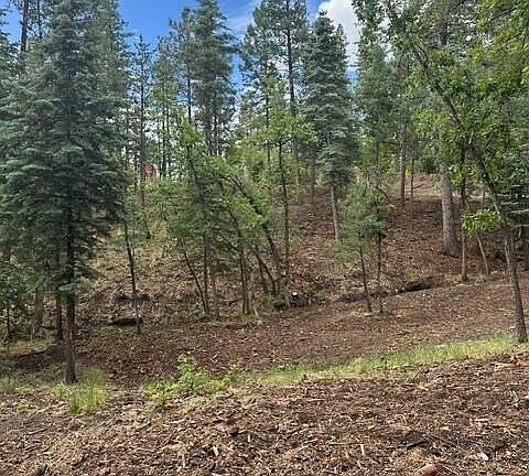 5th image of 15 N BUTTERMILK Lane #52