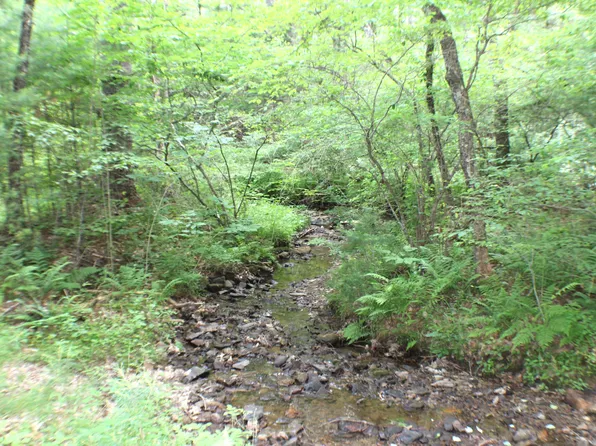 Autumn View Ln, Marlinton, WV 24954