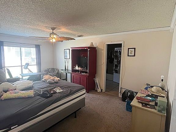 Large Primary Bed room 
