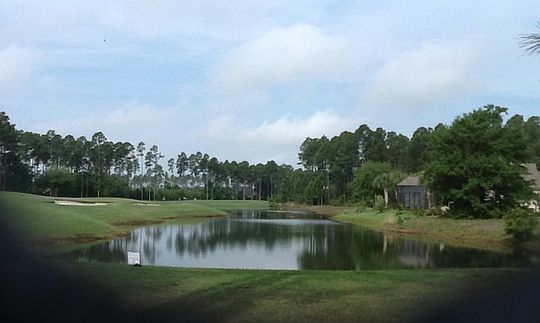 2nd image of 95188 Amelia National Pkwy