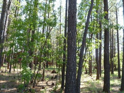 6117 Coconino Cir, Pinetop, AZ, 85935