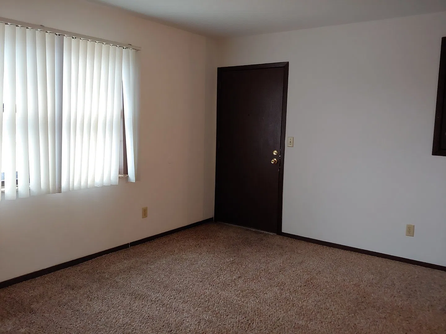 Boxwood 526 — Photo 3