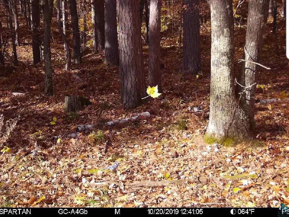 2nd image of xxx County Hwy H