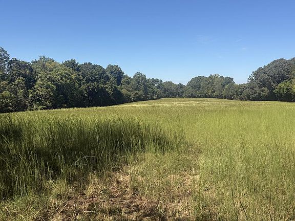 5th image of 0 Radford Lake Rd
