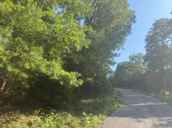 TRACT 2 Belew Hollow Rd, Waynesboro, TN 38485