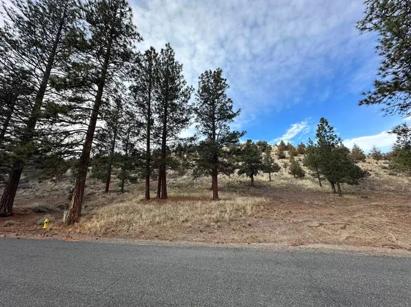 5 3/277 Palmer Dr, Weed, CA 96094