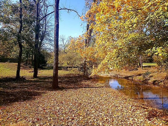 Fall colors on property