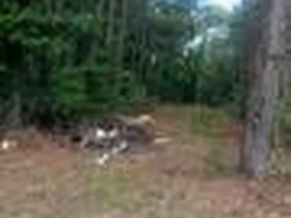 1070 California Blvd, Sumter, SC 29153