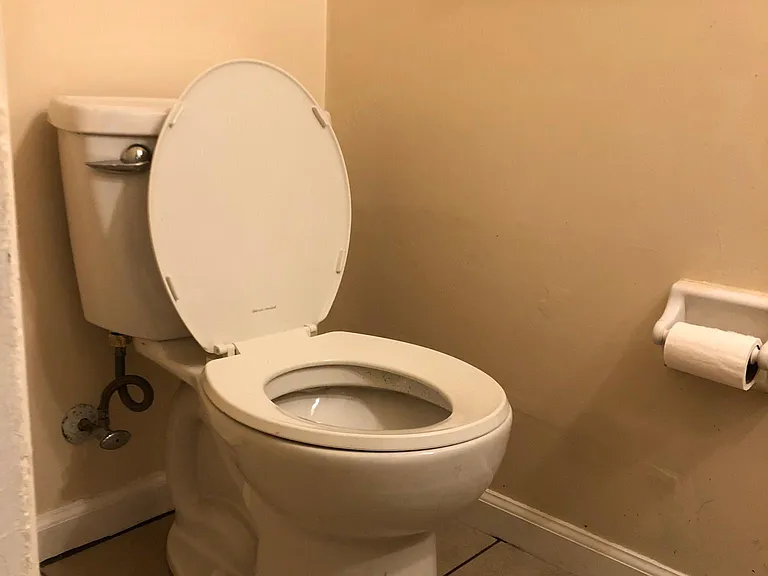 Downstairs Hall Bathroom