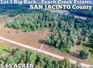 1 Big Buck Dr, Cleveland, TX 77328