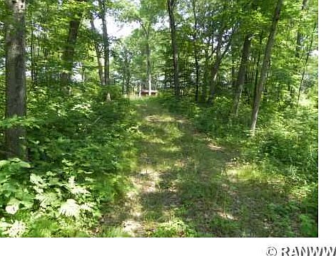 4th image of 4742 N Basswood Dr