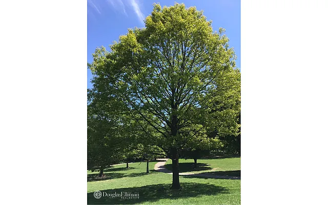 Rented by Douglas Elliman | media 34