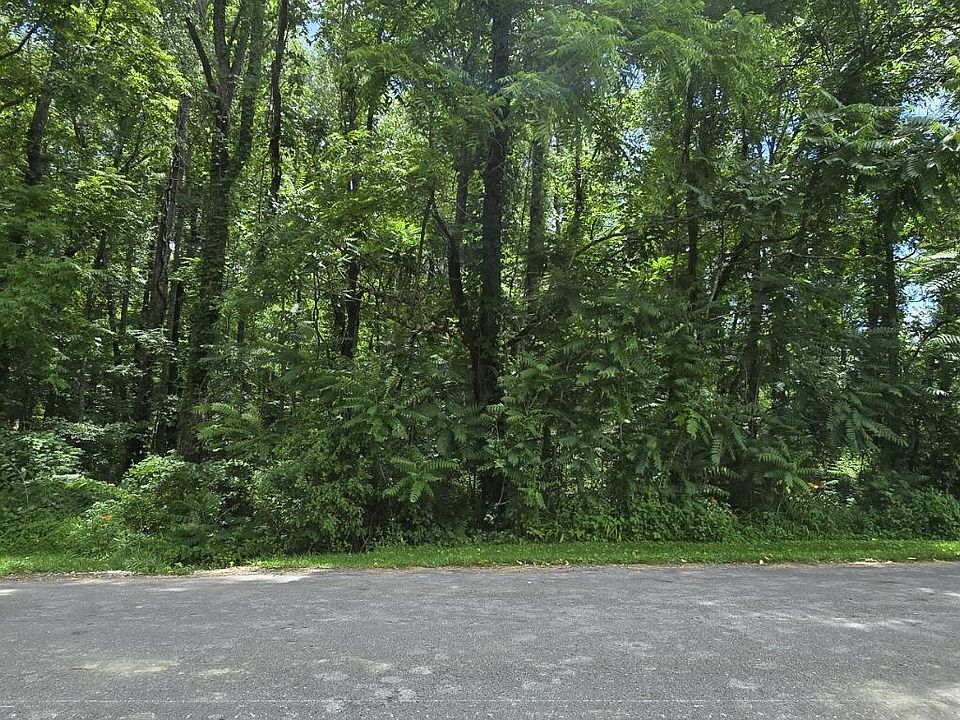 1st image of Shady Ln
