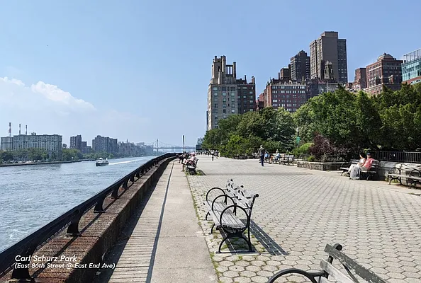 Rented by Compass | media 19