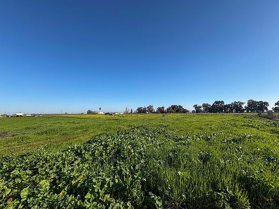 5th image of 0 Learning Tree Ln