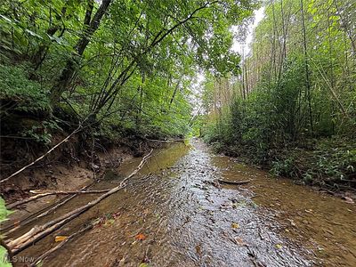 0 Paw Paw Rd, Lower Salem, OH, 45745