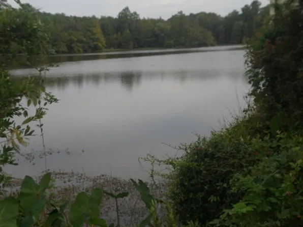 LOT 12 Fop Lodge Rd, Andalusia, AL 36421