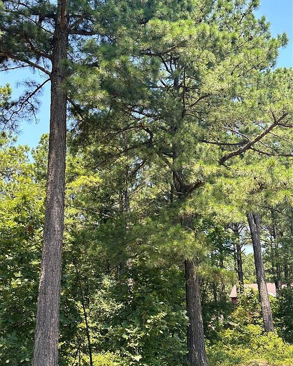 1st image of 202 Crooked Cedar Trail