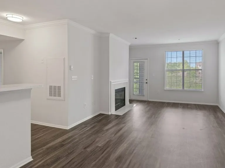 Alvista Bowie — Photo 13
