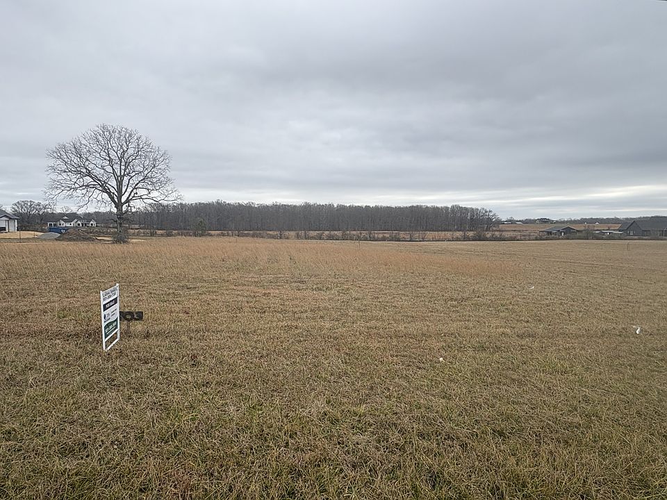 2nd image of 903 Buffalo Rd