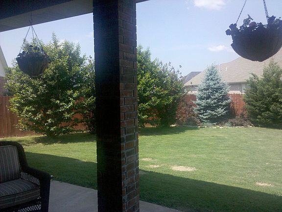 Back yard from patio