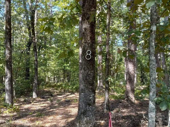 8 Gray Fox Run Vlg, Higden, AR 72067