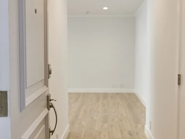 Front Door into the Living Area with Hall Closet to the Left
