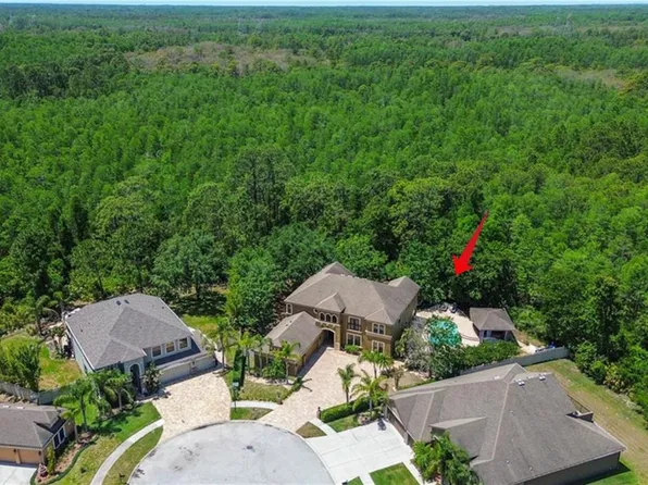 14809 Ninebark Ct, Land O Lakes, FL 34638