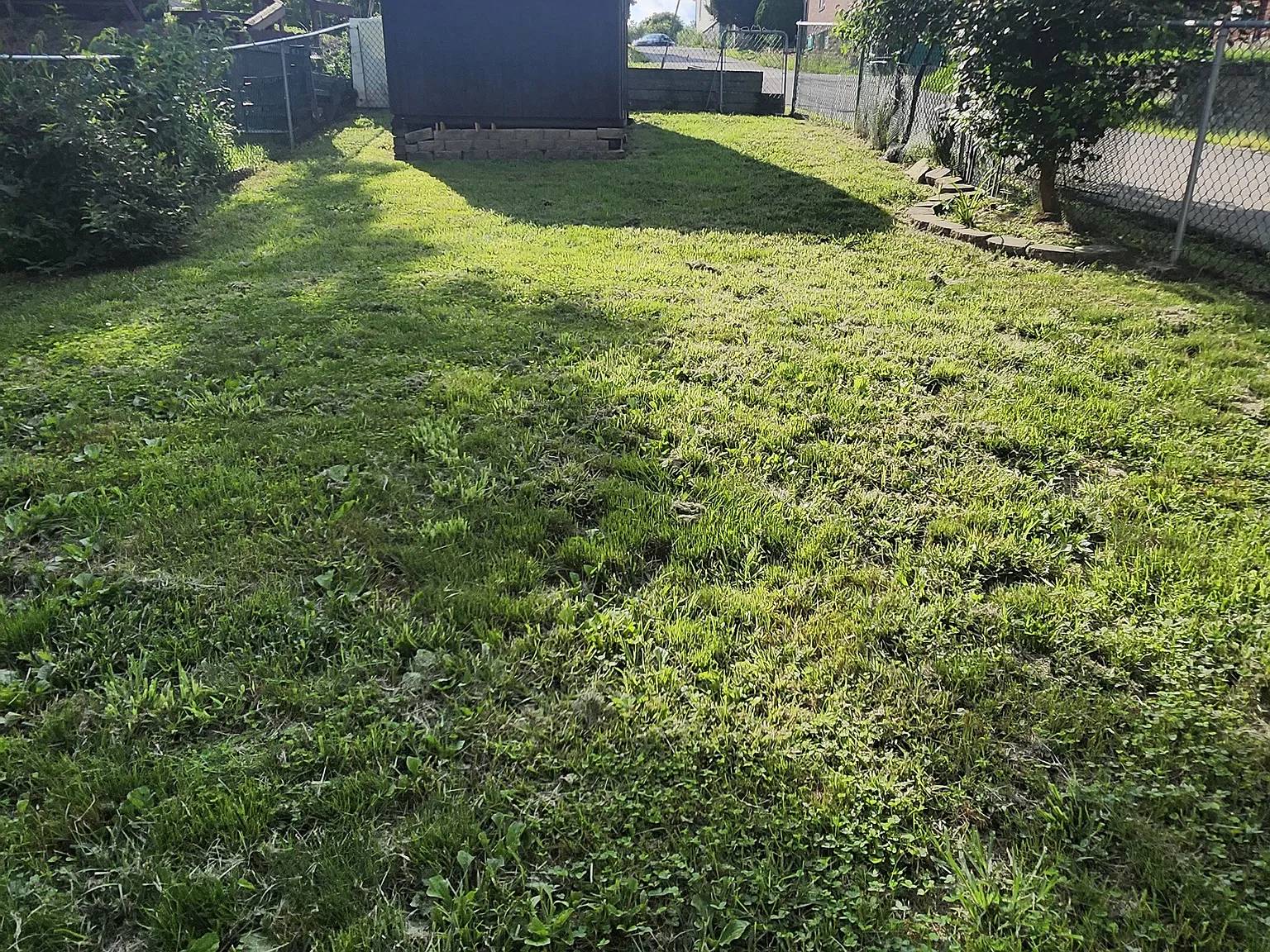 3 bed, $1,175 — Photo 4