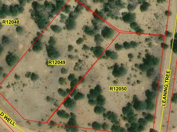 Lot 216 and 217 Old Well, Candy Kitchen, NM 87357