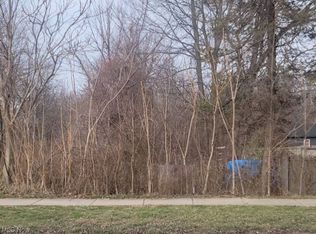 W Walnut Ave, Painesville, OH 44077