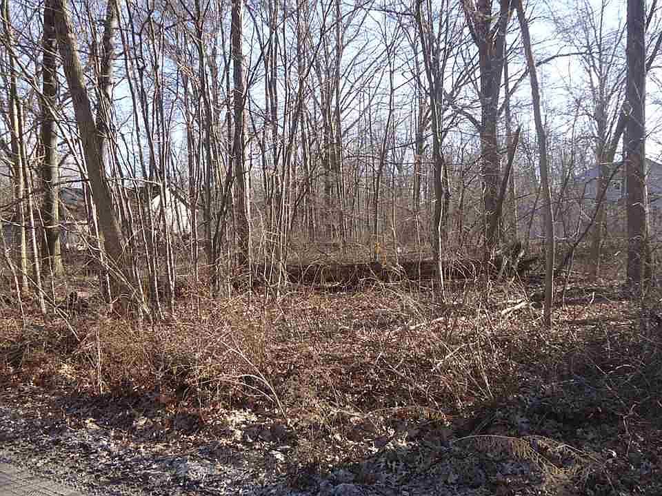 1st image of Woodland