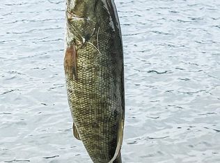 541 Cedar Acres Rd, Bellingham, WA 98229