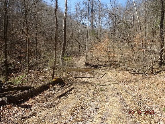 4th image of 5310 Whites Creek Pike
