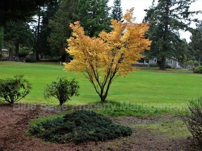 145 Emerald Dr, Sequim, WA, 98382