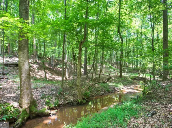 Lot20a Tanglewood Rd, Newnan, GA 30263