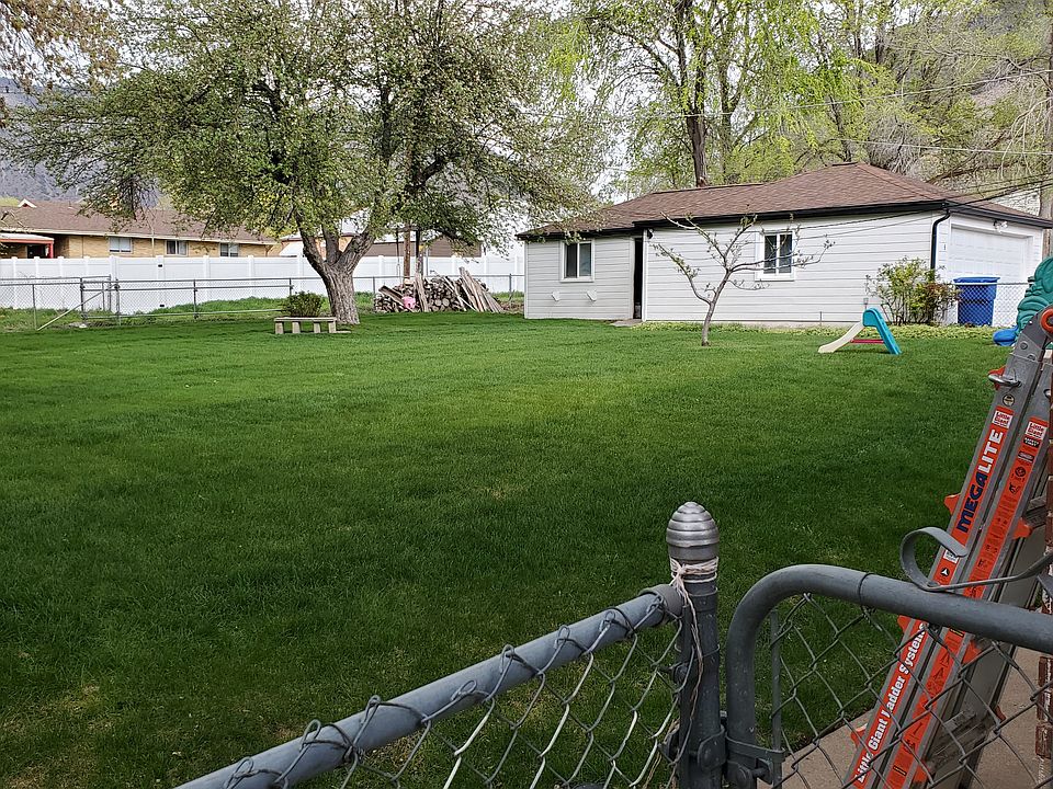 Large fenced Rear yard with huge apple and peach tree
